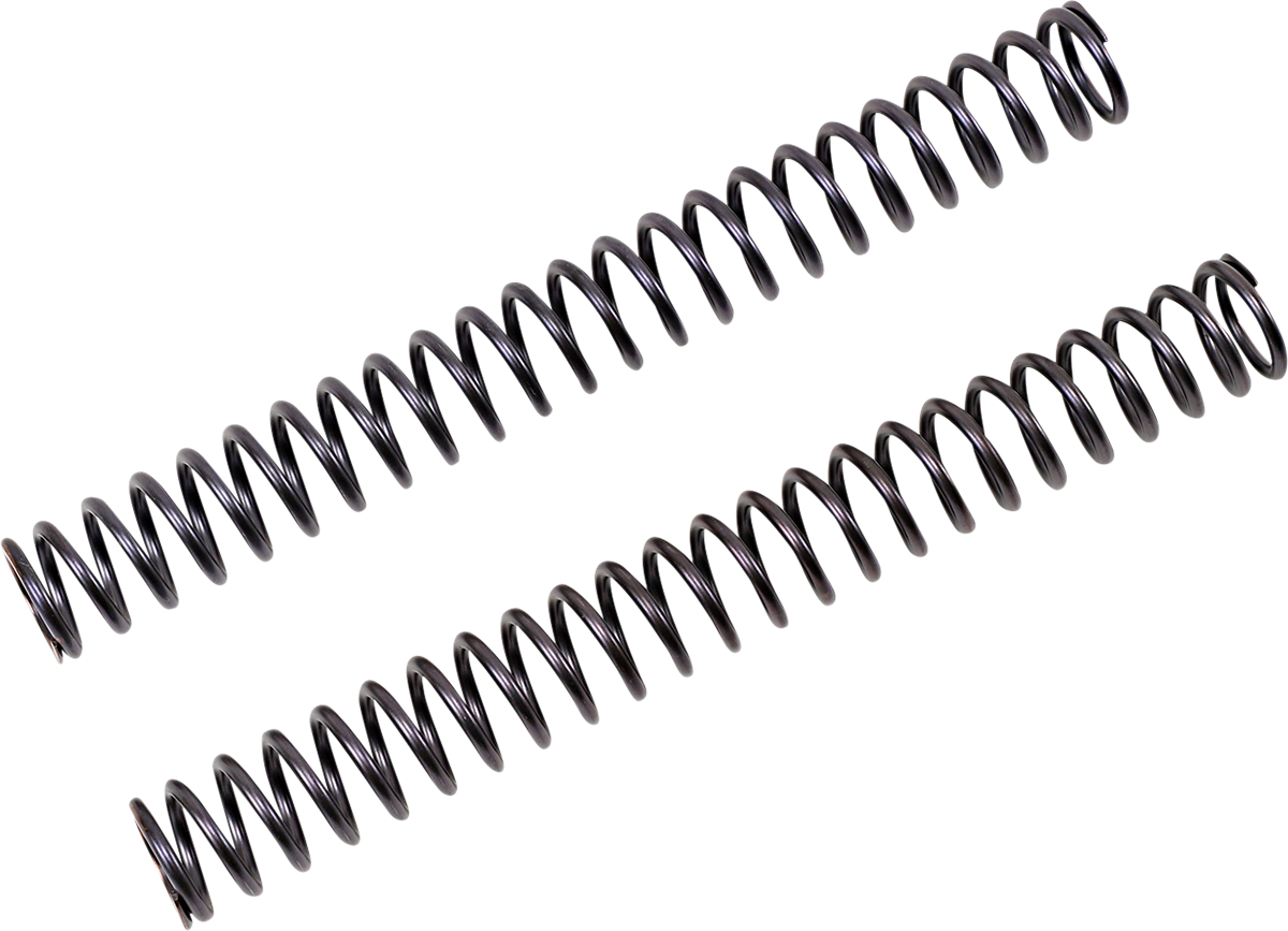 04051072_1.png