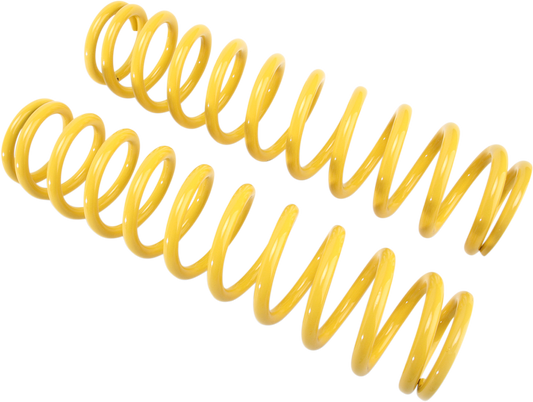 04310441_1.png