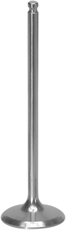 09260491_1.png