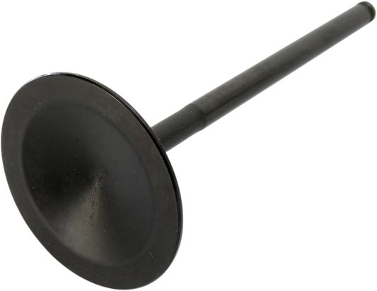 09262681_1.png