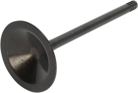 09262866_1.png