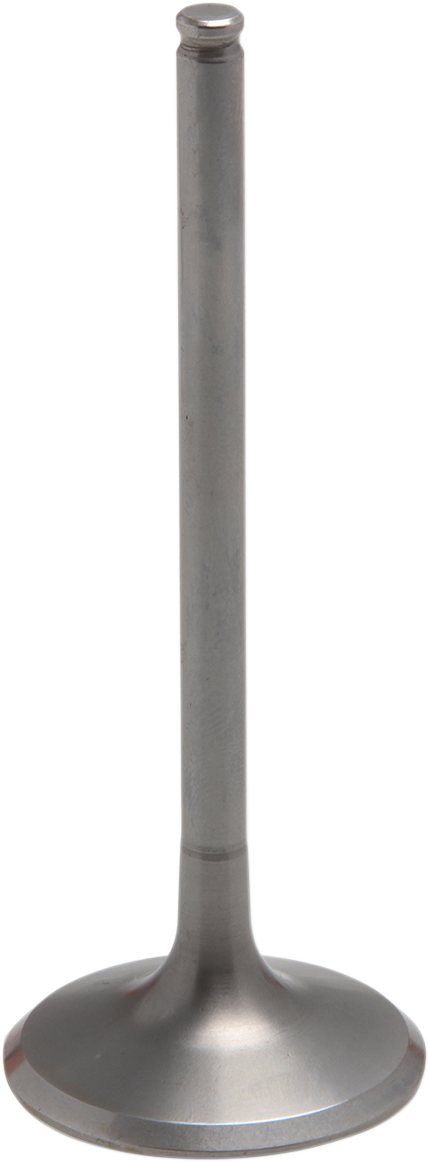 09263283_1.png