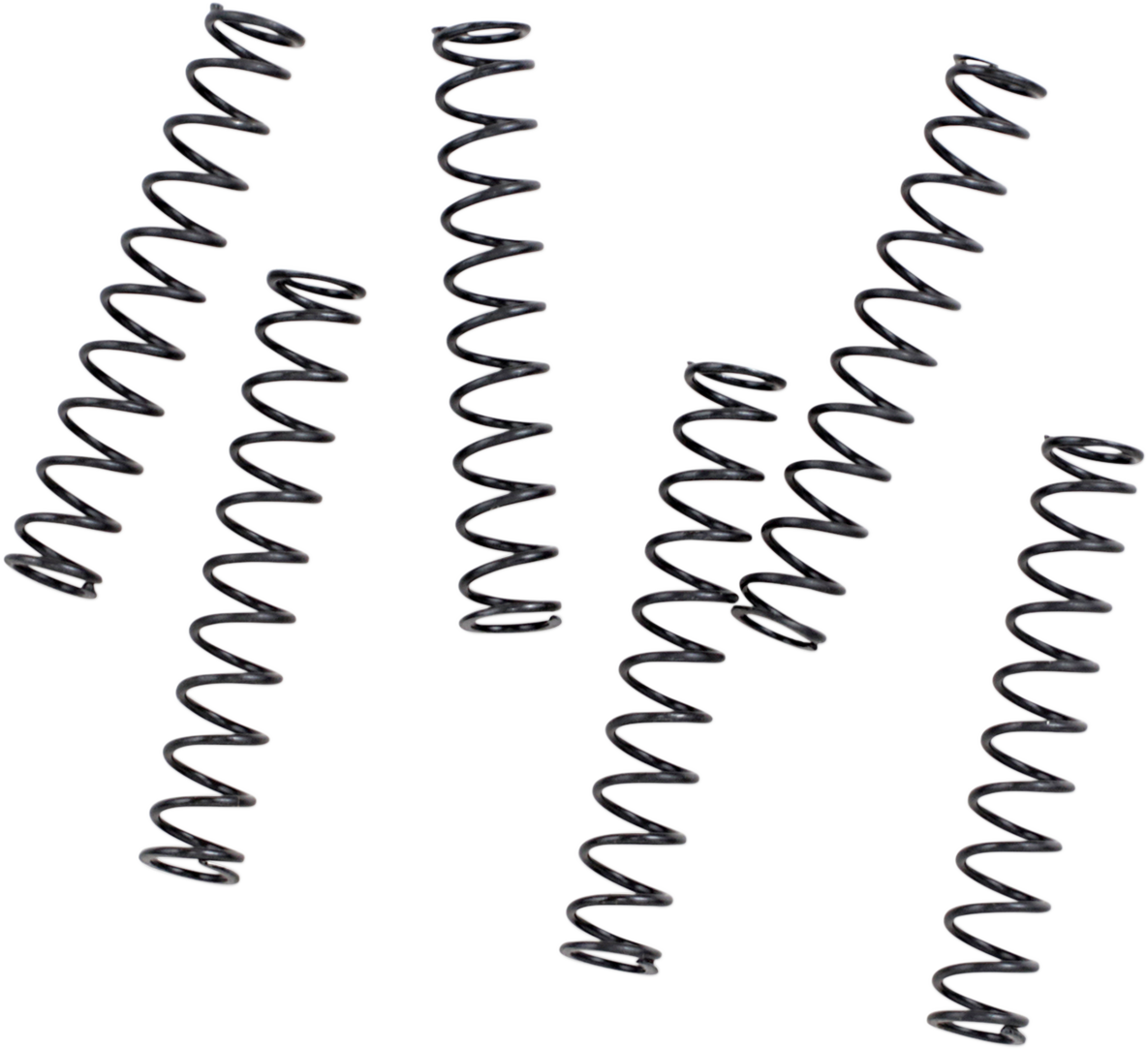 09320233_0.png