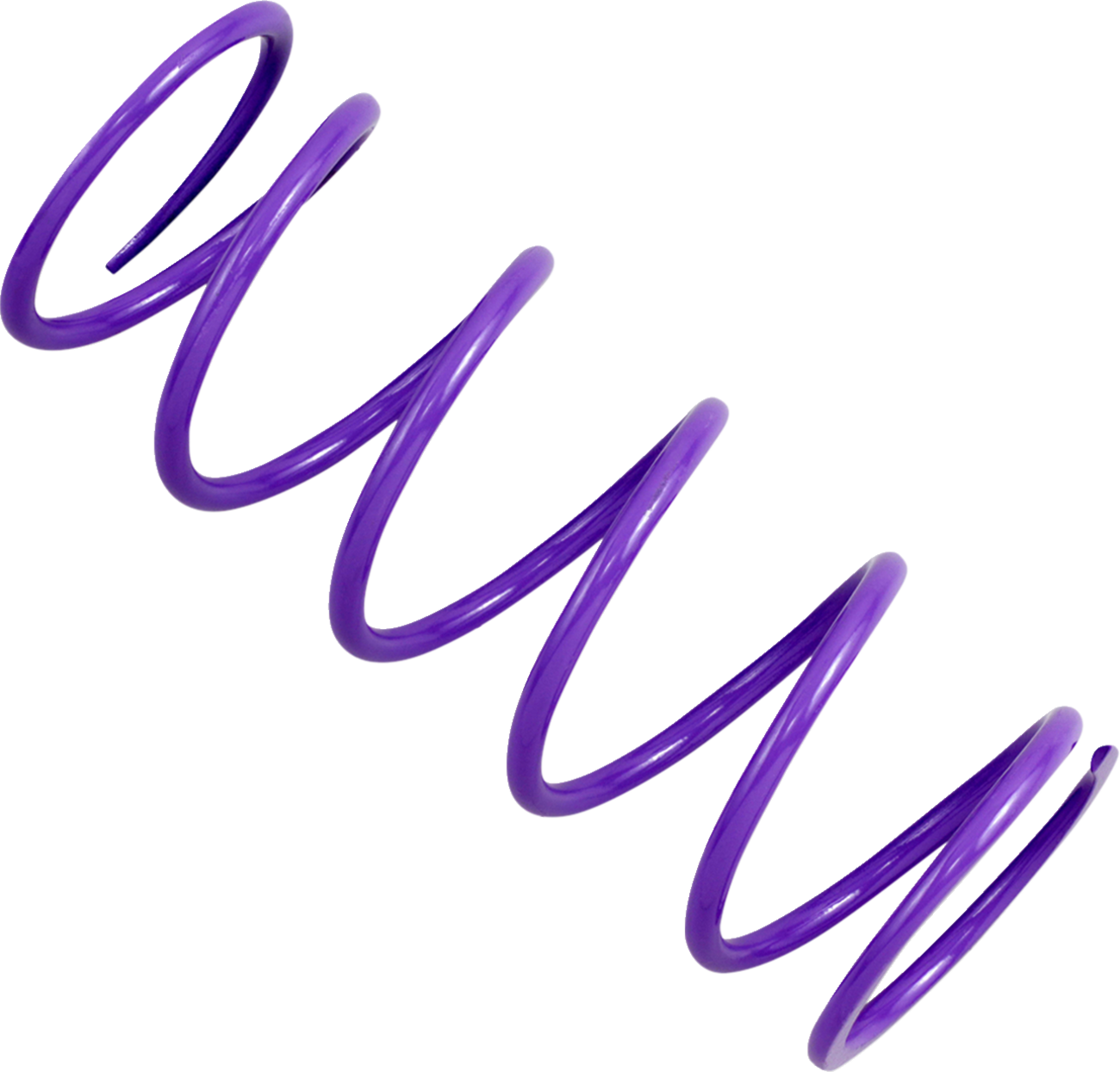11400036_1.png