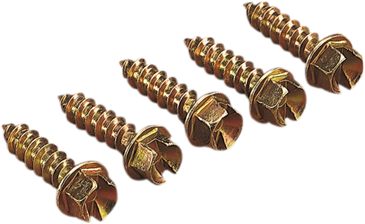 12500056_1.png