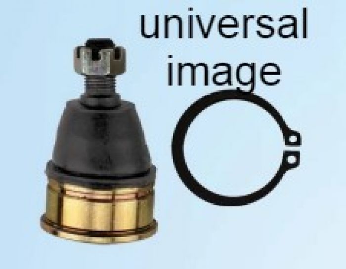 138652_1654266204.jpg