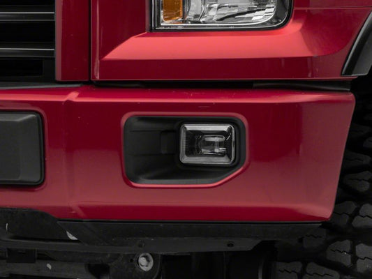 Photo - Close Up