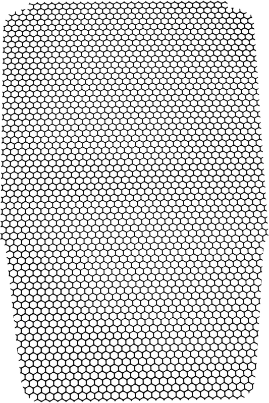 19040283_1.png