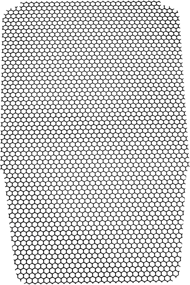 19040283_2.png