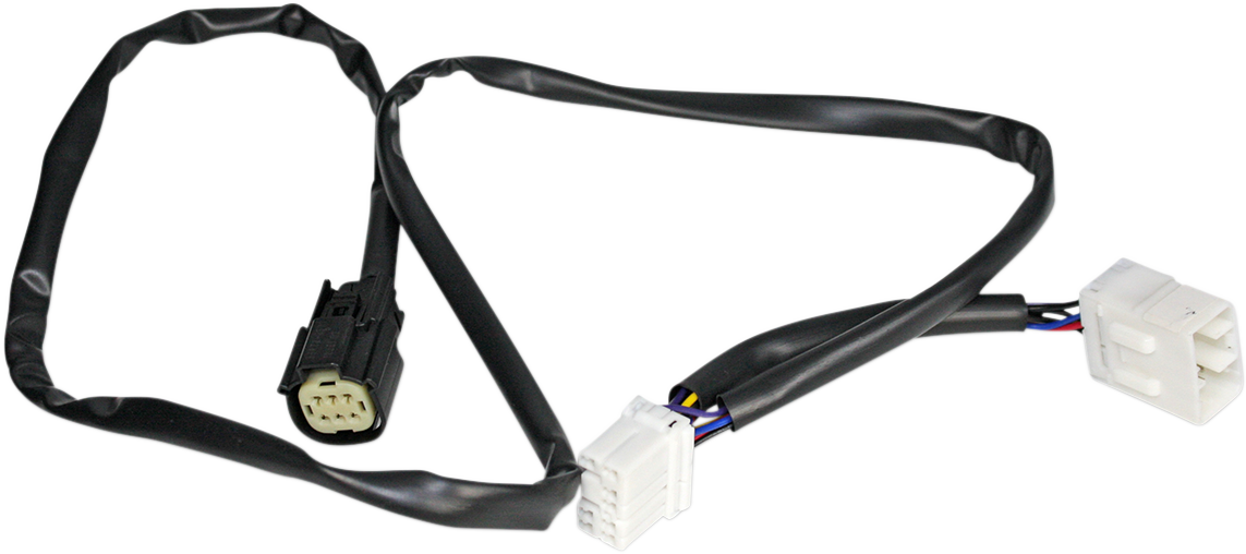 20500384_0.png