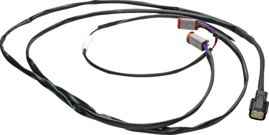 21201246_1.png
