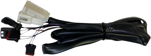 21300304_1.png