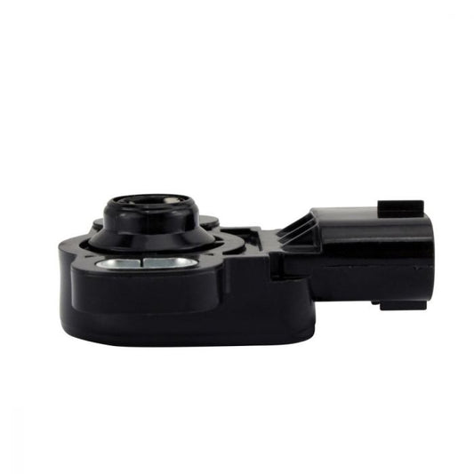 225204_1728917303.jpg