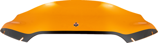 23100781_1.png