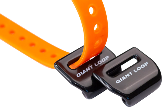 35090028_1.png