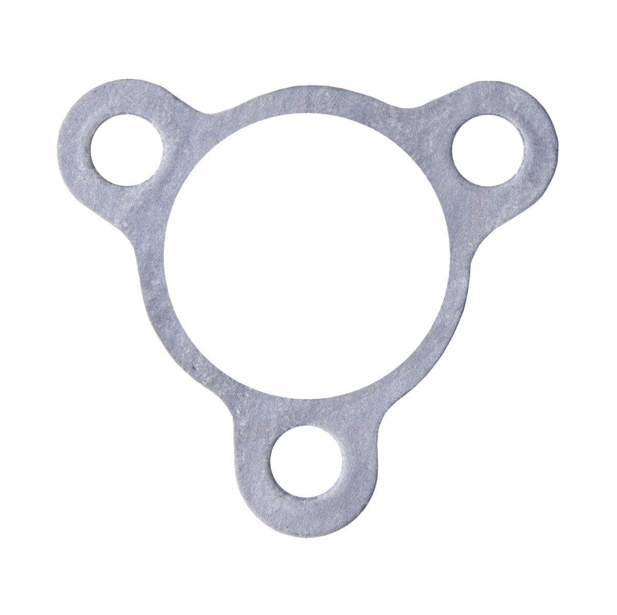 Water Outlet Gasket for Tigershark Barracuda /Daytona /Monte Carlo /Montego DLX /Montego /TS 640