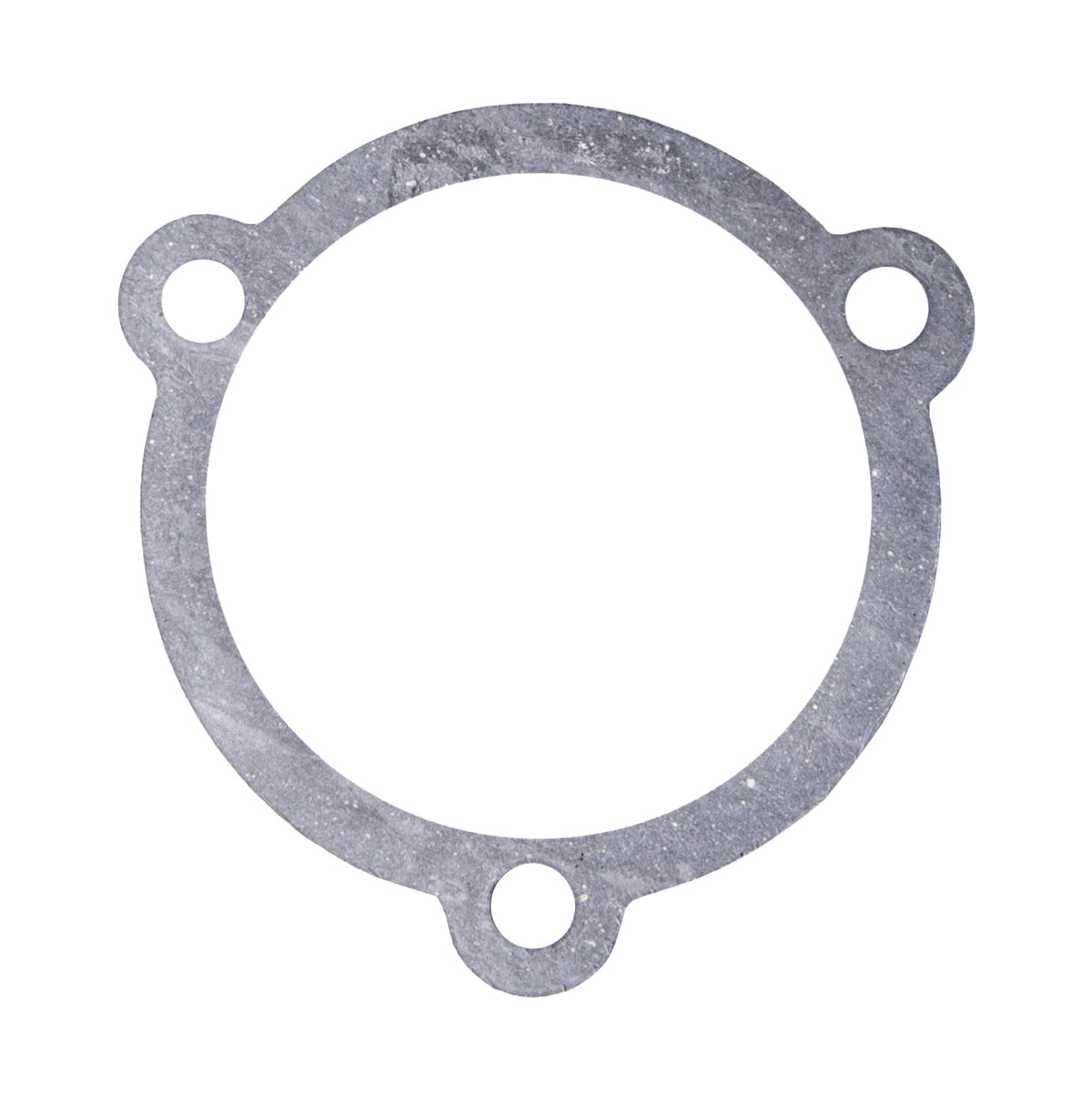 SBT Flame Arrestor Gasket for Tigershark 900 /Daytona 770 /Monte Carlo 770/900/Daytona 1000 - 41-502-23