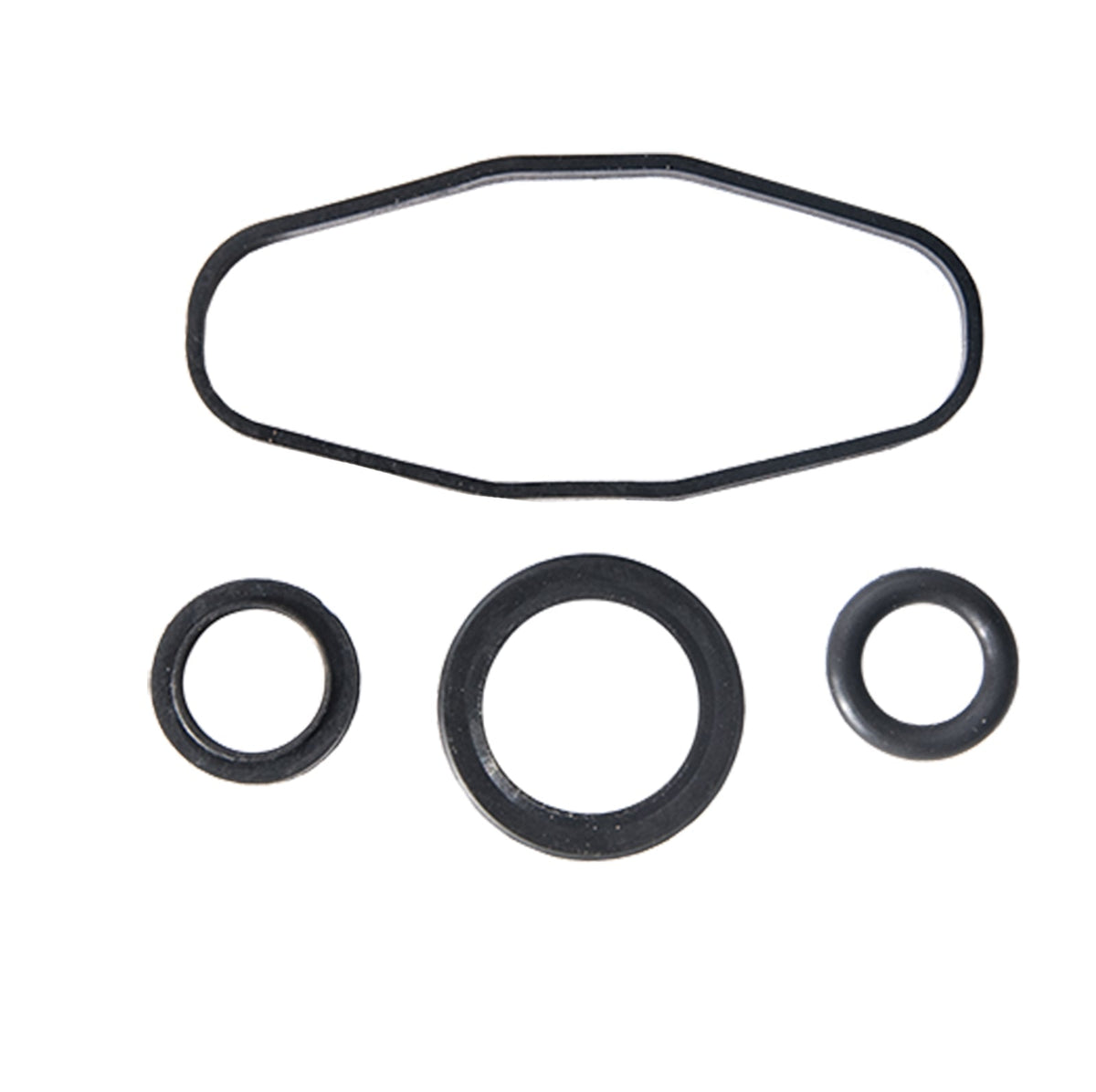 RAVE Valve Rebuild Kit for Sea-Doo GTX DI /RX DI /LRV DI /XP DI /Sport LE DI /3D 947 DI 2000-2006