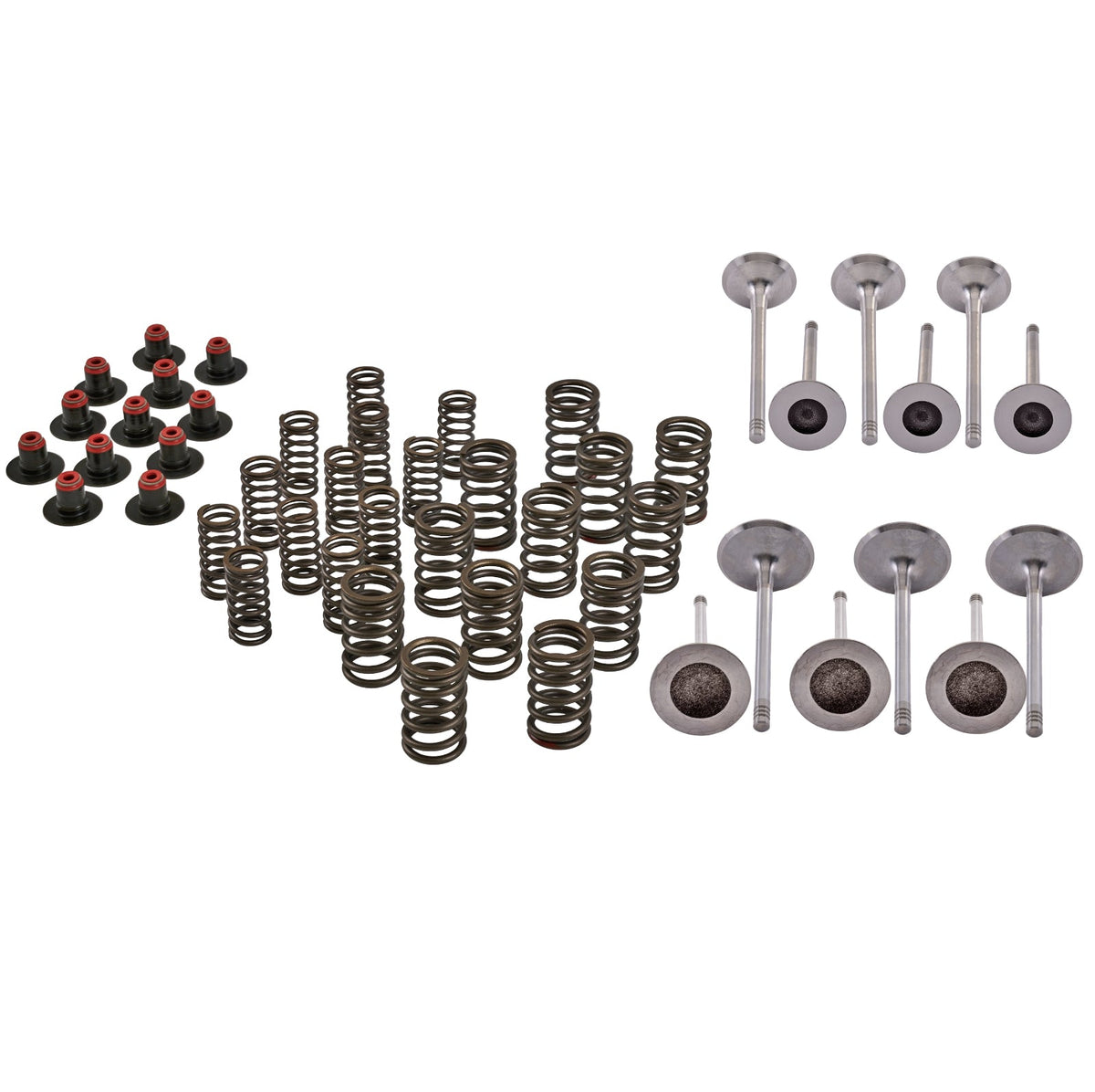 SBT Cylinder Head Rebuild Kit Fits Sea-Doo 4-Strokes Exc. Spark - 54-112H