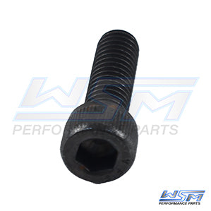 WSM Bolt, Connecting Rod Johnson / Evinrude 3 - 15 Hp (Sold Each) - 805-101