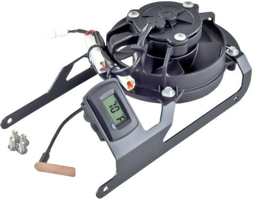 8aa2-69126a12cc5a8.jpg