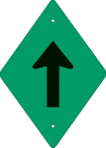V053262.jpg