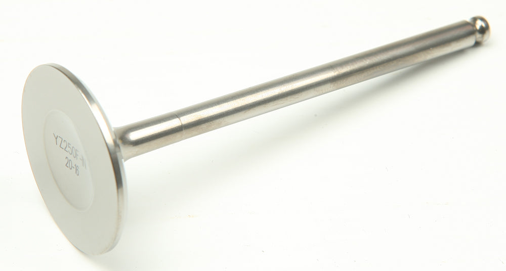 bf40-58c6702553129.jpg