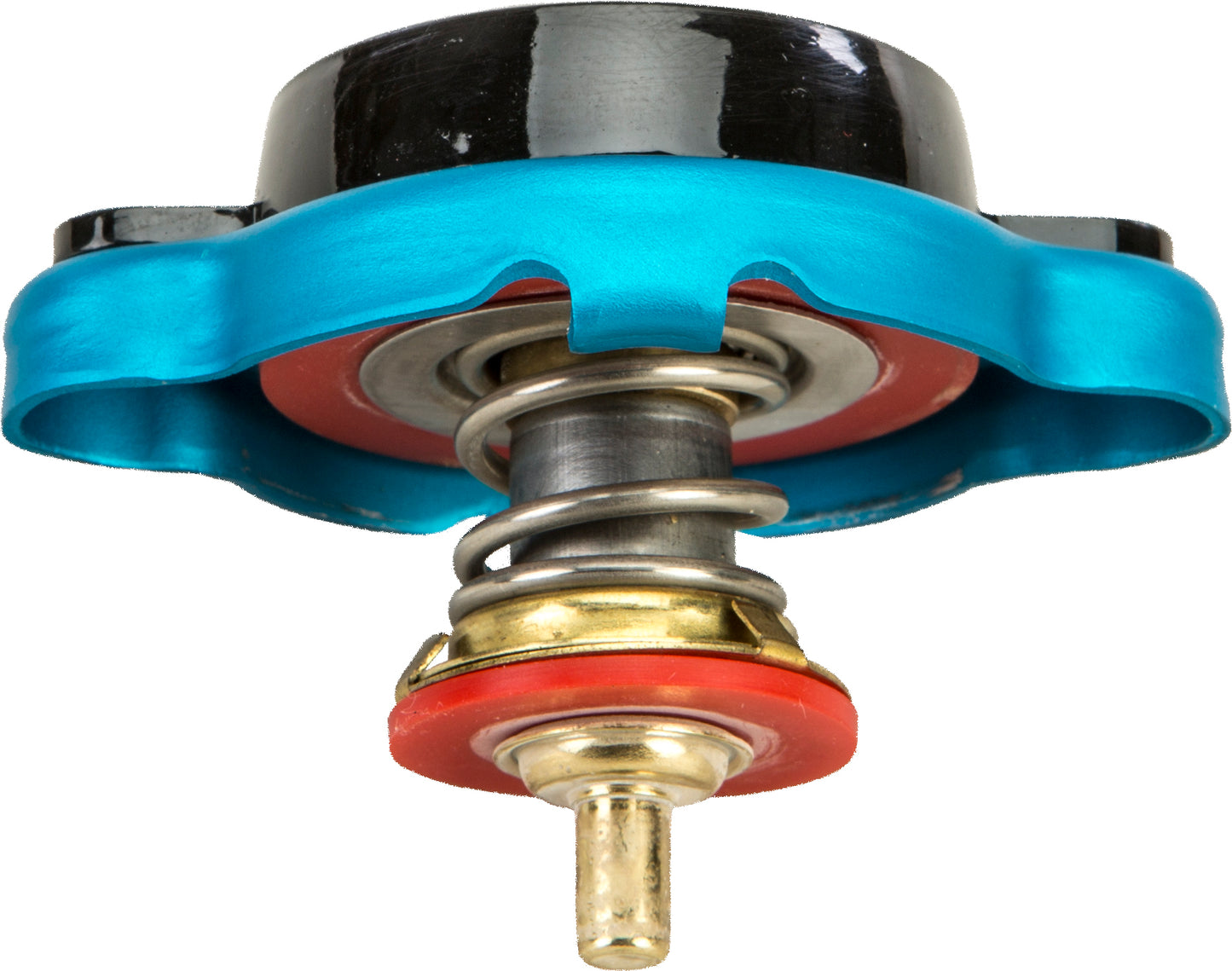 cb33-59db8efd3caa9.jpg