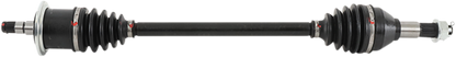 02141378_0.png