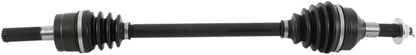 02141385_0.png