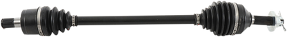 02141386_0.png