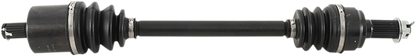 02141393_0.png