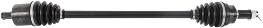 02141397_0.png