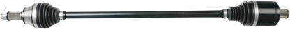 02141855_0.png