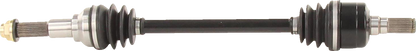 02141951_0.png