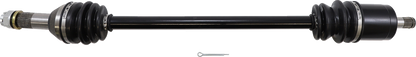02141998_0.png