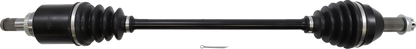 02142096_0.png