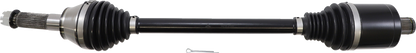 02142133_0.png