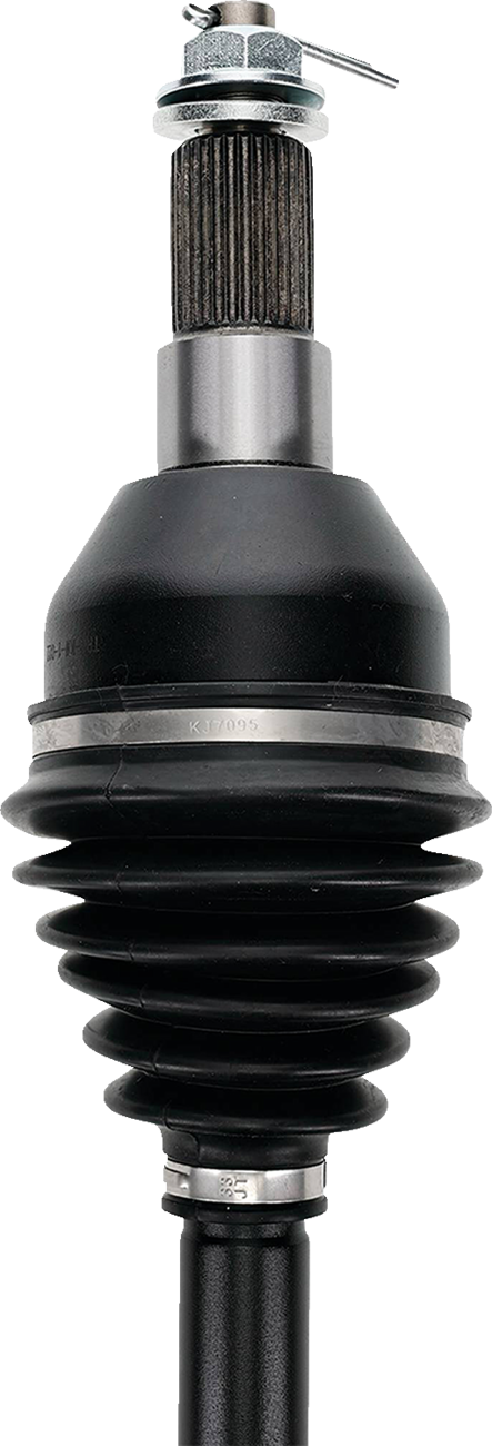 02142191_6.png