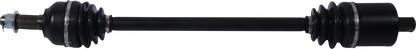 02142194_0.png