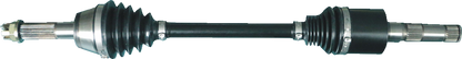02142691_0.png