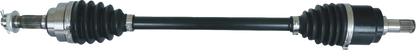 02142768_0.png