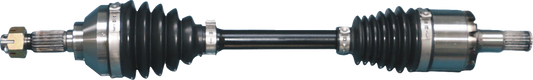 02142772_0.png