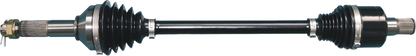 02142773_0.png