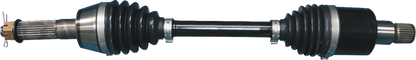 02142783_0.png