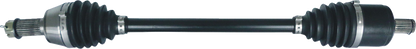02142793_0.png