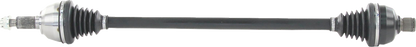 02142861_0.png