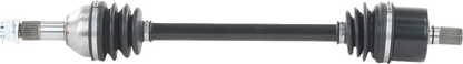 02142873_0.png