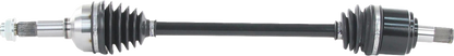 02142882_0.png