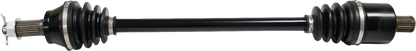 02143123_0.png